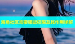 海角社区需要哪些权限及其作用详解