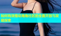 如何有效推动海角社区的全面开放与发展探索