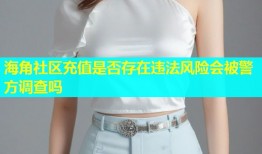 海角社区充值是否存在违法风险会被警方调查吗