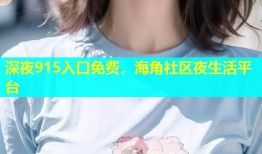 深夜915入口免费，海角社区夜生活平台