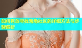 如何有效寻找海角社区的详细方法与步骤解析