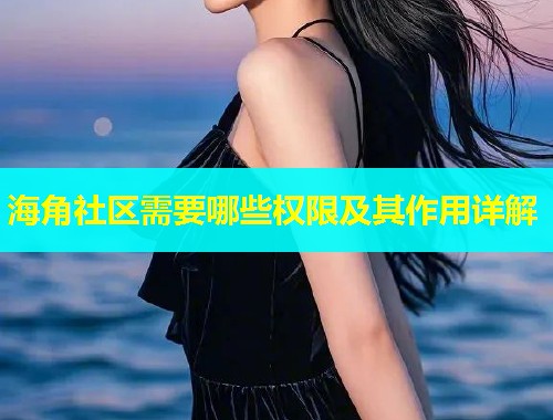 海角社区需要哪些权限及其作用详解