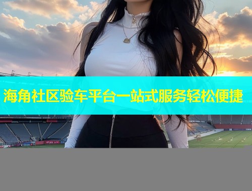 海角社区验车平台一站式服务轻松便捷